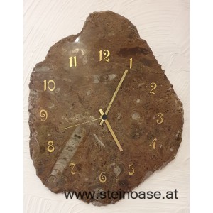 Uhr Fossilien Orthoceras & Ammoniten